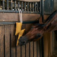 Juguete de box Imperial Riding relámpago Amarillo