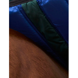 Manta ComFiTec Plus Dynamic Turnout Weatherbeeta 0 g Verde bosque / marino