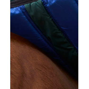 Manta ComFiTec Plus Dynamic Turnout Weatherbeeta 0 g Verde bosque / marino