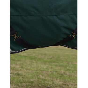 Manta ComFiTec Plus Dynamic Turnout Weatherbeeta 0 g Verde bosque / marino