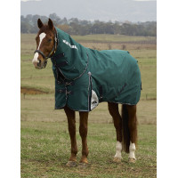 Manta ComFiTec Plus Dynamic Turnout Weatherbeeta 100 g con cuello desmontable Verde bosque / marino
