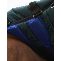 Manta ComFiTec Plus Dynamic Turnout Weatherbeeta 100 g con cuello desmontable Verde bosque / marino