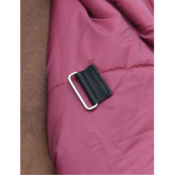 Manta ComFiTec Prelim Turnout Weatherbeeta 0 g Burdeos / azúl marino