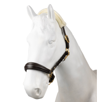 Cabezada de cuero Horze Rennes Castaño Marrón