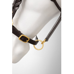 Cabezada de cuero Horze Rennes Castaño Marrón