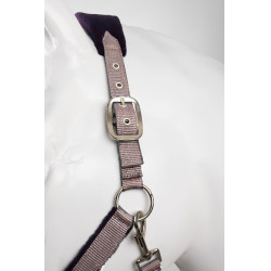 Cabezada y ramal Horze Magic Sílex violeta