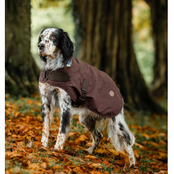 Manta para perro Horseware Heritage Newmarket Marrón / azul marino witney