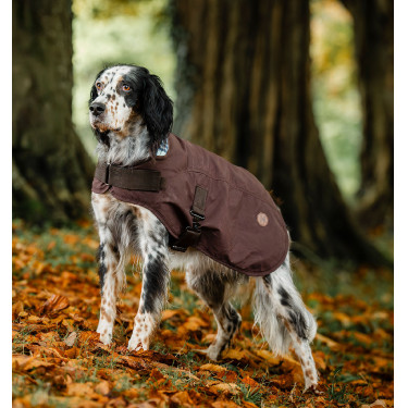 Manta para perro Horseware Heritage Newmarket Marrón / azul marino witney