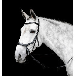Brida sin bocado Horseware Micklem Negro Brida sin bocado Horseware Micklem Negro
