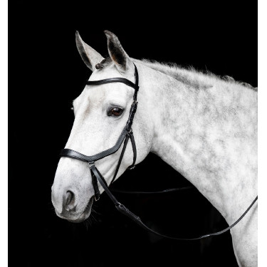Brida sin bocado Horseware Micklem Negro Brida sin bocado Horseware Micklem Negro