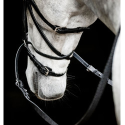 Brida sin bocado Horseware Micklem Negro Brida sin bocado Horseware Micklem Negro