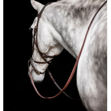 Brida sin bocado Horseware Micklem Castaño Marr&amp;oacute;n