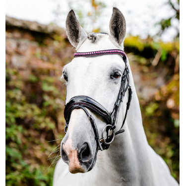 Brida Horseware Diamante Flash Negro / rosa