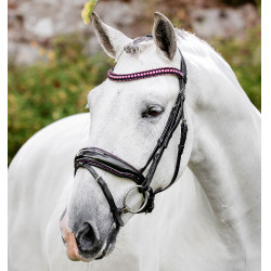 Brida Horseware Diamante Flash Negro / rosa