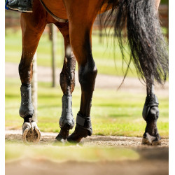 Protector de menudillo Horseware® Classic Negro / negro Protector de menudillo Horseware® Classic Negro / negro