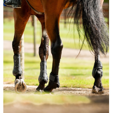 Protector de menudillo Horseware® Classic Negro / negro Protector de menudillo Horseware® Classic Negro / negro