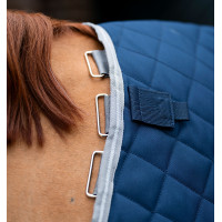 Manta de cuadra Horseware Amigo Plus Disco 200g Higo / marino Violeta