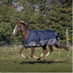 Manta Equi-Theme Tyrex 600 D forrada polar