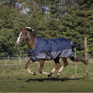 Manta Equi-Theme Tyrex 600 D forrada polar