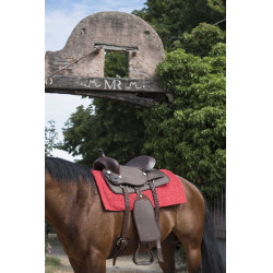 Westride Navajo Alfombra Algodón/Acrílico liso Roja Rojo