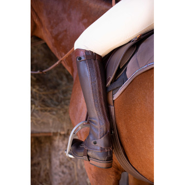 Polainas Equi-Theme Elite Havana Marrón