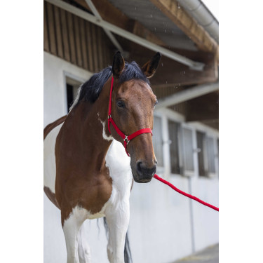 Conjunto de cabezada y ramal Club Roja Rojo Conjunto de cabezada y ramal Club Roja Rojo