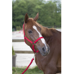 Conjunto de cabezada y ramal Club Roja Rojo