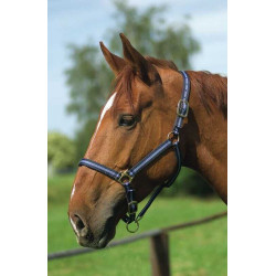 Cabezada de nylon forrada de cuero Marino / azul cielo Cabezada de nylon forrada de cuero Marino / azul cielo