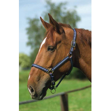 Cabezada de nylon forrada de cuero Marino / azul cielo Cabezada de nylon forrada de cuero Marino / azul cielo