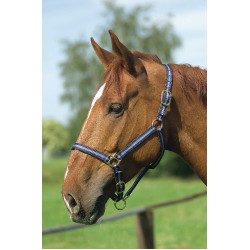 Cabezada de nylon forrada de cuero Marino / azul cielo Cabezada de nylon forrada de cuero Marino / azul cielo