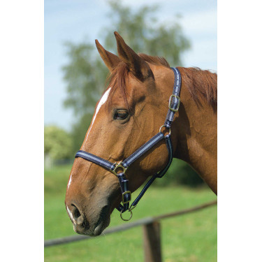 Cabezada de nylon forrada de cuero Marino / azul cielo Cabezada de nylon forrada de cuero Marino / azul cielo