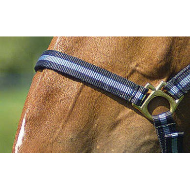 Cabezada de nylon forrada de cuero Marino / azul cielo Cabezada de nylon forrada de cuero Marino / azul cielo