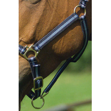 Cabezada de nylon forrada de cuero Marino / azul cielo Cabezada de nylon forrada de cuero Marino / azul cielo