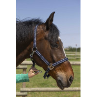 Cabezada Norton Grooming Negro