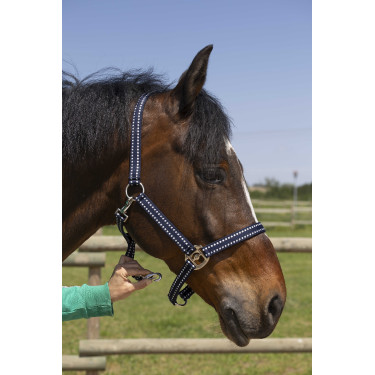 Cabezada Norton Grooming Azul marino
