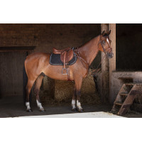 Cincha combinada Eric Thomas Hybrid Negro