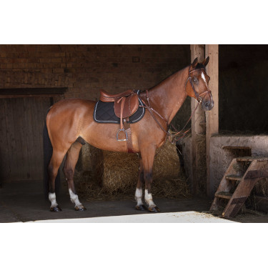 Cincha combinada Eric Thomas Hybrid Havana Marrón