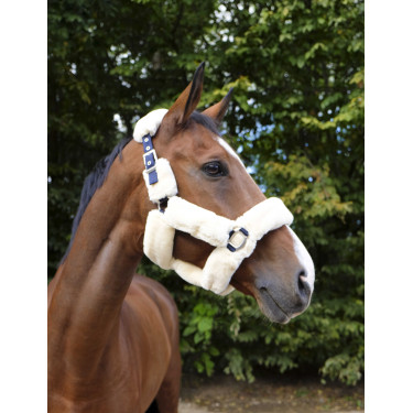 Cabezada Equi-Theme Teddy Marina / crudo Azul