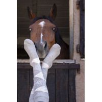 Calcetines Equi-Theme Girly Marino / azul cielo