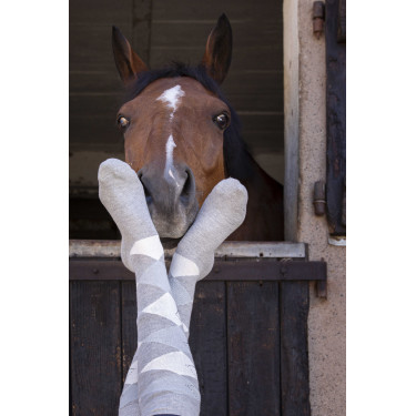 Calcetines Equi-Theme Girly Gris / cielo