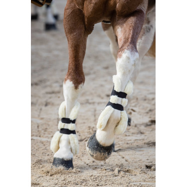 Protectores de tendón abotonadas Norton XTR de borreguillo sintético Azul marino Protectores de tendón abotonadas Norton XTR de borreguillo sintético Azul marino