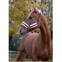 Cabezada de cuadra Norton Confort Negro