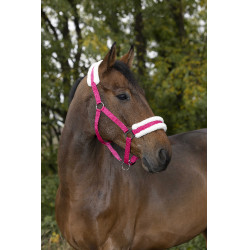 Cabezada de cuadra Norton Confort Frambuesa Rojo