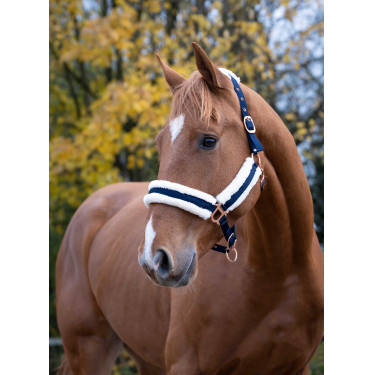 Cabezada de cuadra Norton Confort Azul marino Cabezada de cuadra Norton Confort Azul marino