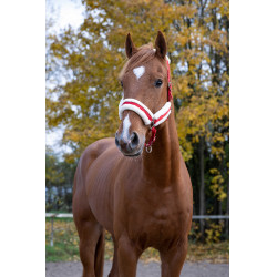 Cabezada de cuadra Norton Confort Roja Rojo