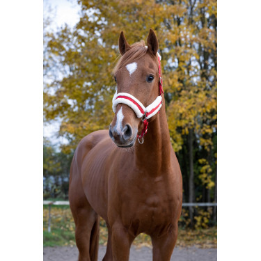 Cabezada de cuadra Norton Confort Roja Rojo