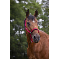 Cabezada Norton con forro de neopreno Roja Rojo