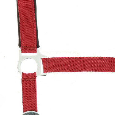 Cabezada Norton con forro de neopreno Roja Rojo