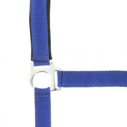 Cabezada Norton con forro de neopreno Azul real