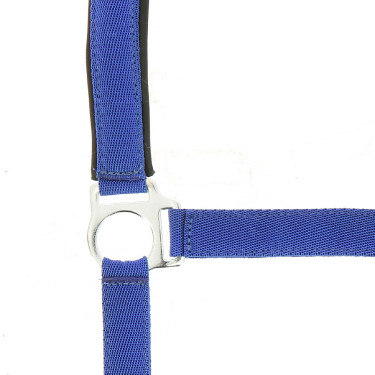 Cabezada Norton con forro de neopreno Azul real